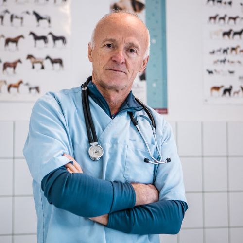 veterinary